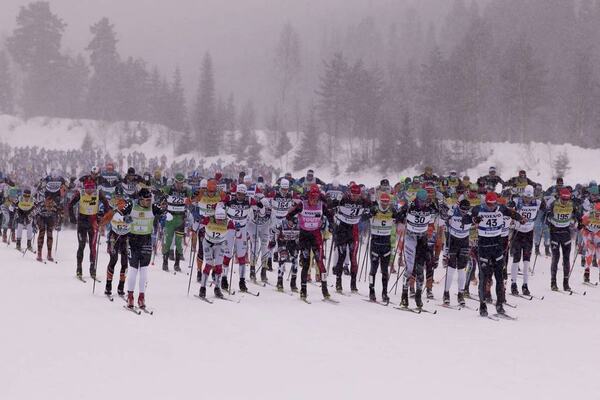 NordicFocus