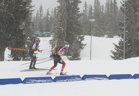 Sjusjoen