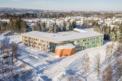 Hele skolen vinter