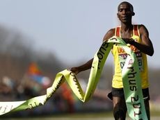 cross country