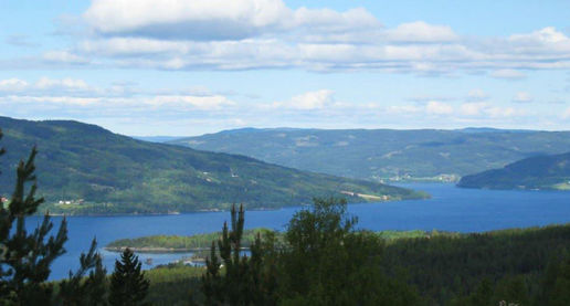 Nå kan gårdbrukere ved Randsfjorden få gratis rådgivning om vannmiljøtiltak. Jens Olerud/Landbrukskontoret for Hadeland ©Gran kommune Randsfjorden