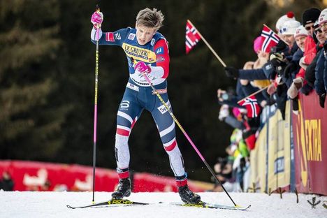 NordicFocus 06.01.2019, Val di Fiemme, Italy (ITA):Johannes Hoesflot Klaebo (NOR) - FIS world cup cross-country, tour de ski, final climb men, Val di Fiemme (ITA). www.nordicfocus.com. © Modica/NordicFocus. Every downloaded picture is fee-liable.