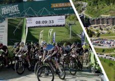 11-ours-video-dimanche-ours-famille