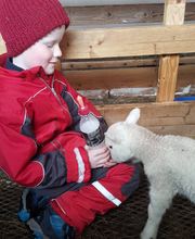 Sveinung Dahl Karlsen 9 år