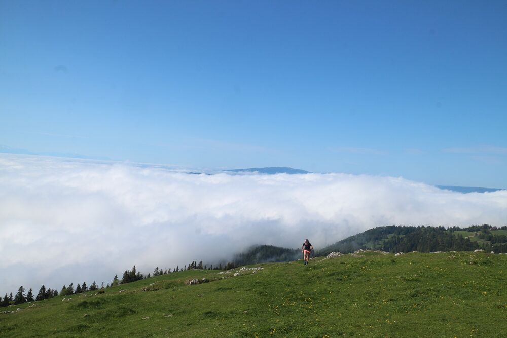 Trail du Mont d\\\'Or