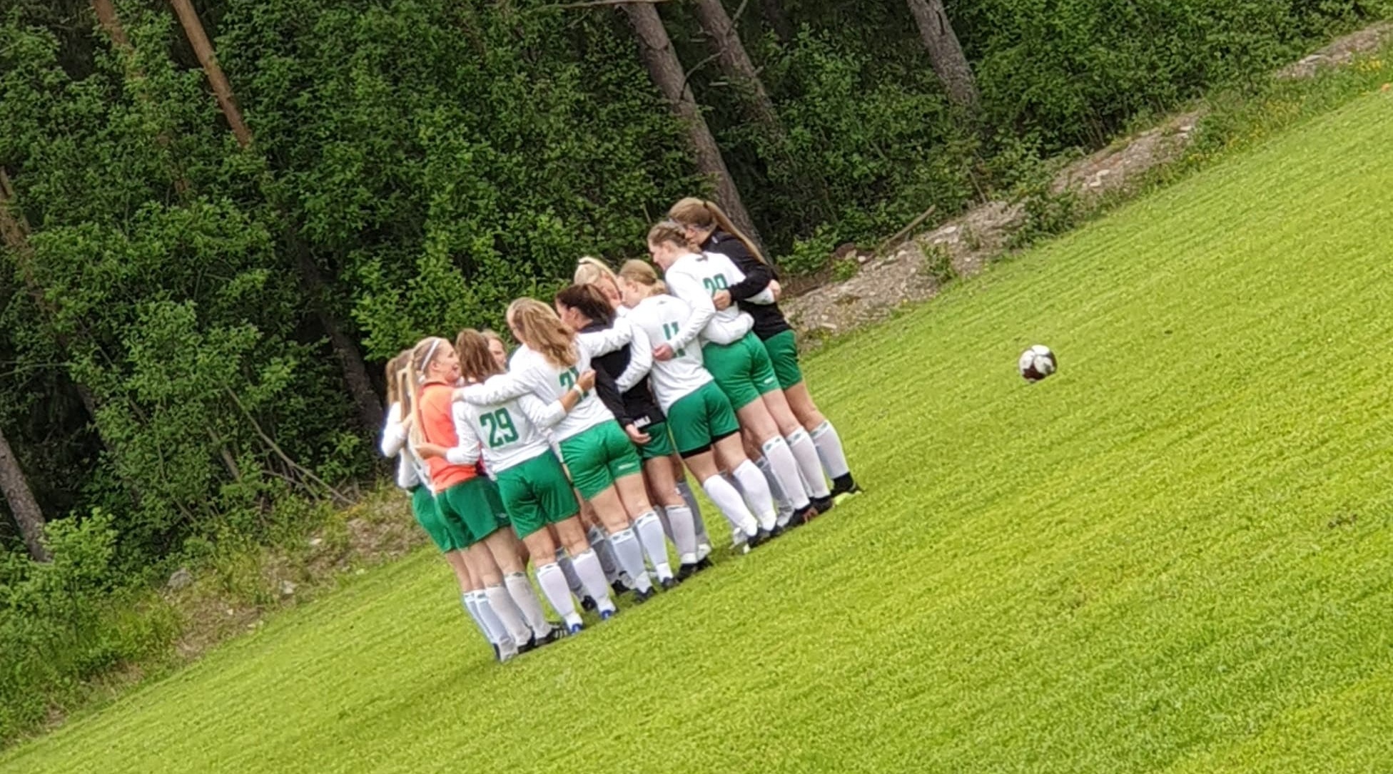 Mysen J17_e.jpg