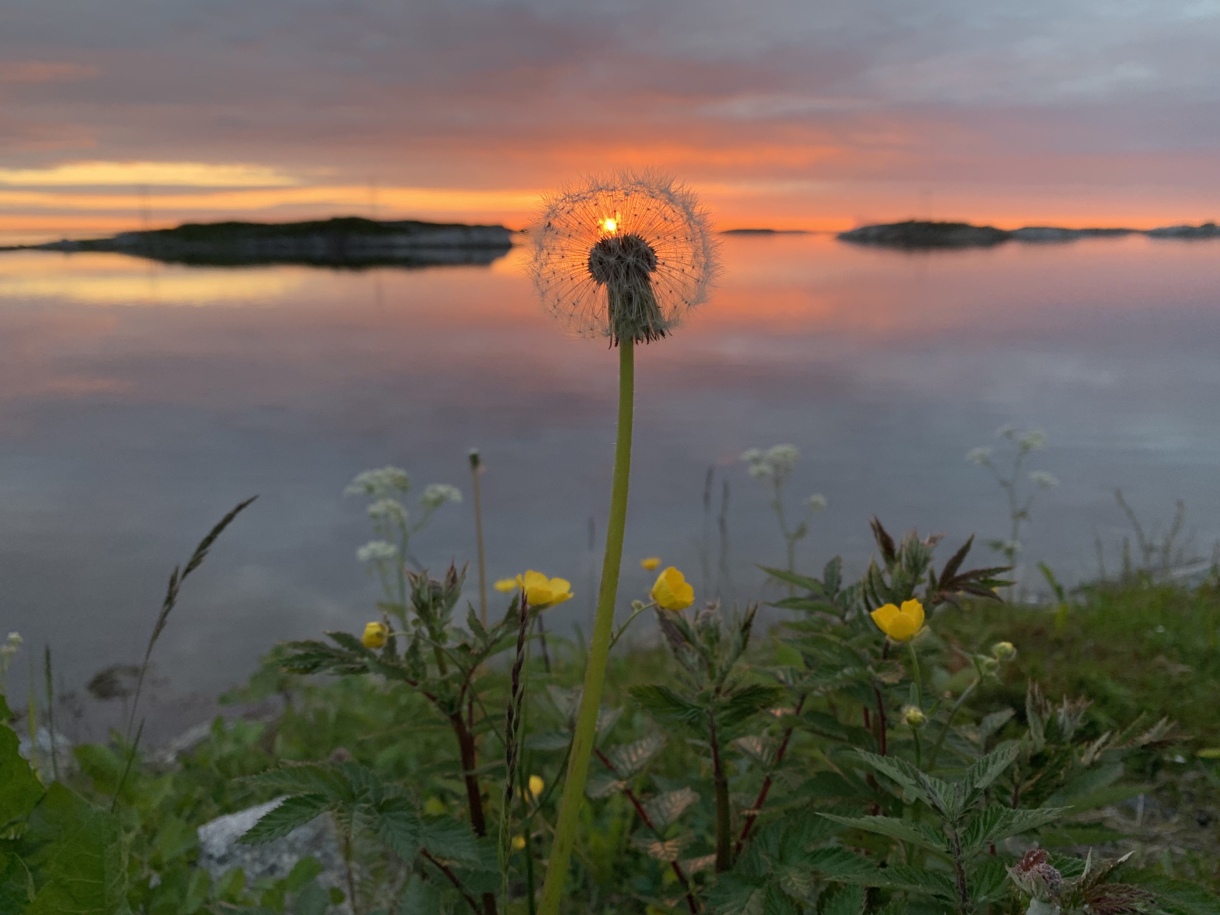 Foto: Karoline Olsen Karoline Olsen 15.06.19 klokken 00:28