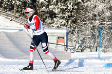 Fossesholm