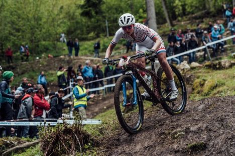UCI Mountain Bike