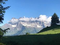 DDM Trail