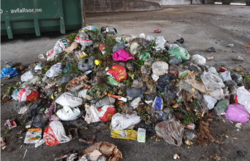 Tydelige avvik i bioavfallet. Foto: Avfall Sør