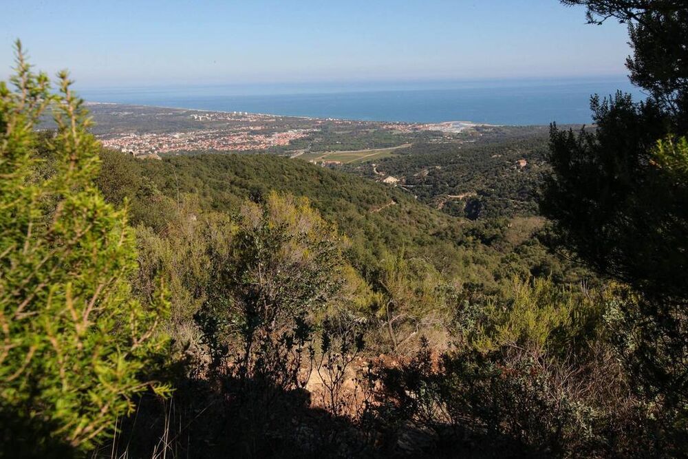 100 Miles Sud de France
