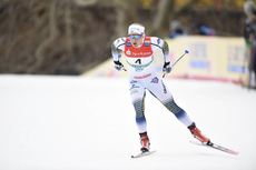 NordicFocus Falk