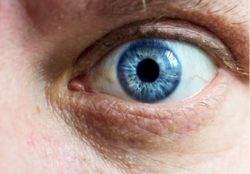 – Det å bli observert påvirker faktisk handlingene våre. Hvis noen kan se oss, mister vi noe av friheten vår, sier norsk forsker. (Illustrasjonsbilde: kzww, Shutterstock, NTB scanpix)
