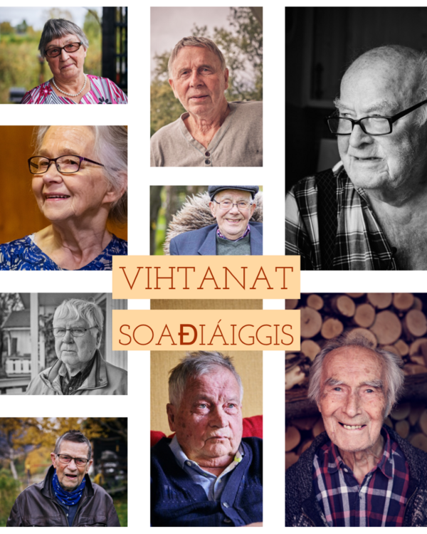 Vitner
