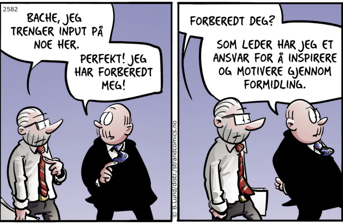 DR-rapport2019