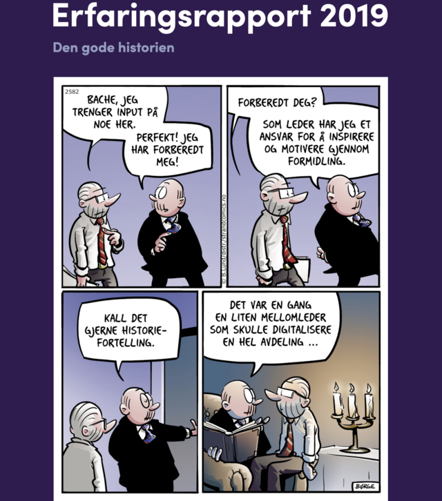 Fra rapportens forside.