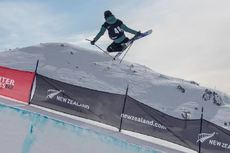 FIS Freestyle D
