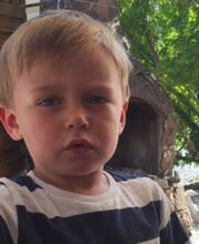 Edvard Antoni Moe Pettersen[4]