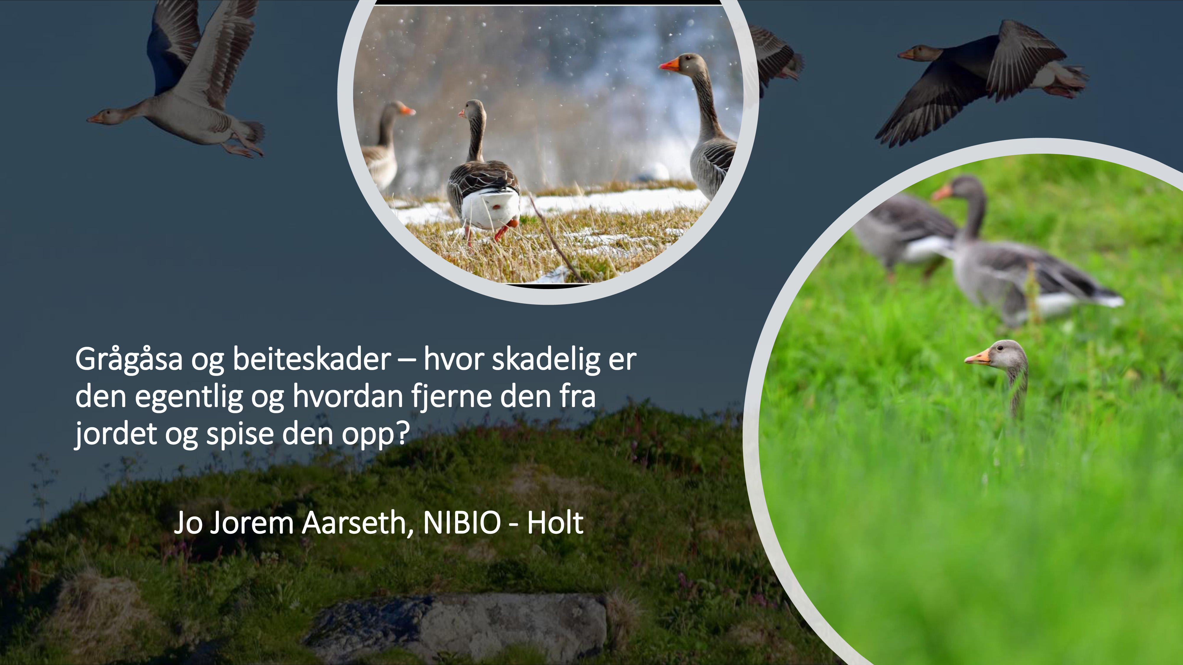 Jo Jorem Aarseth PowerPoint-presentasjon