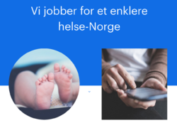 Illustrasjonsbilde. Utsnitt fra nettstedet til e-helsedirektoratet.
