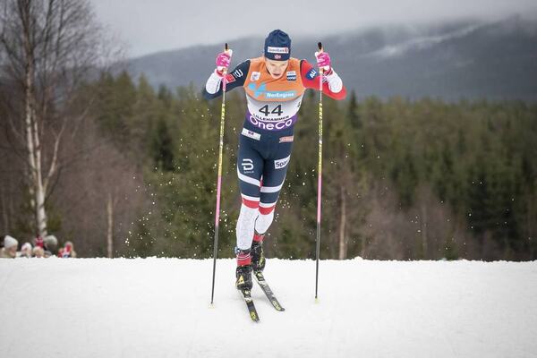 NordicFocus