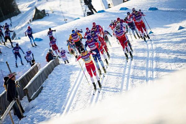 NordicFocus