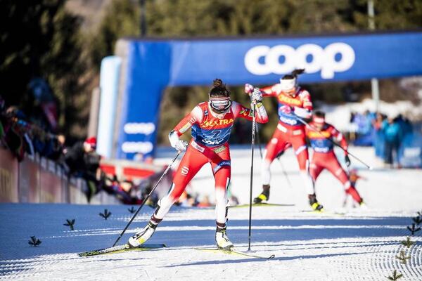 NordicFocus