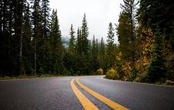 KVD20-Roadpicture