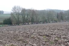Trail des Marcassins
