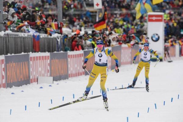 NordicFocus