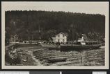 Nesset i Ås