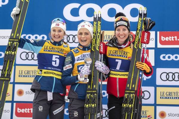 NordicFocus