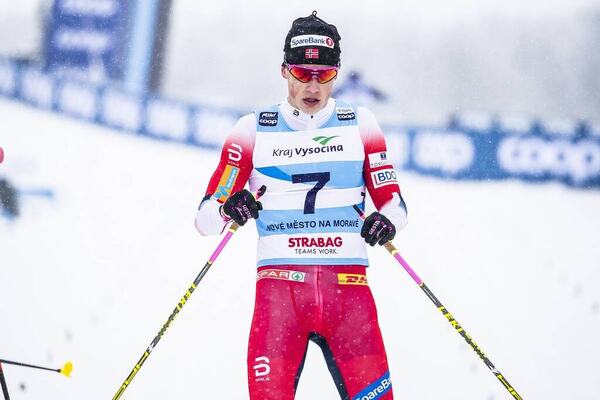 NordicFocus
