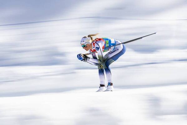NordicFocus
