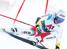 Suter Corinne