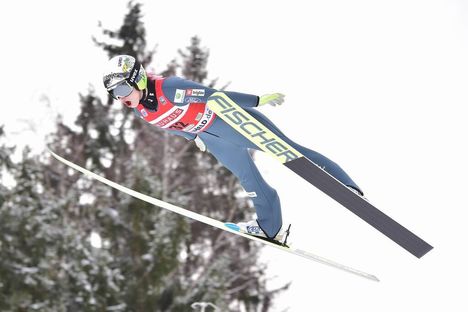 NordicFocus Kriznar