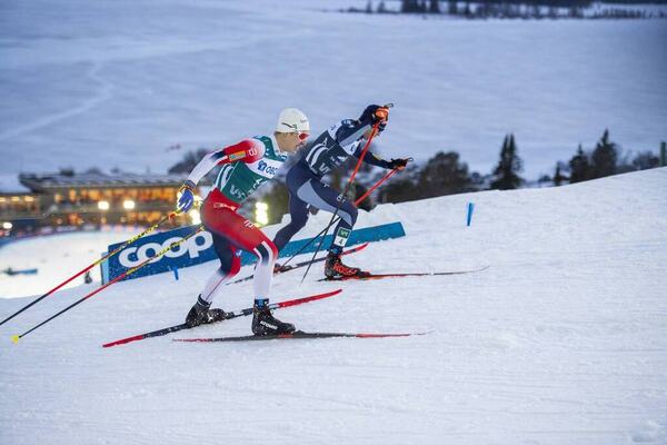 NordicFocus