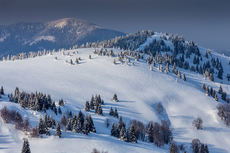 Jasna
