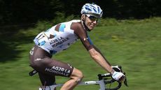 Bardet