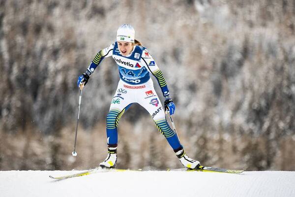 NordicFocus