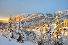 kvitfjell