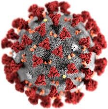 Koronavirus Koronavirus