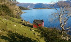 Gjuvslandslia, foto: Fylkesmannen i Hordaland