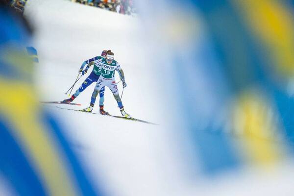 NordicFocus
