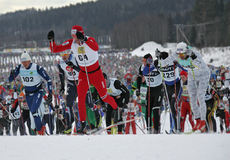 NordicFocus Group