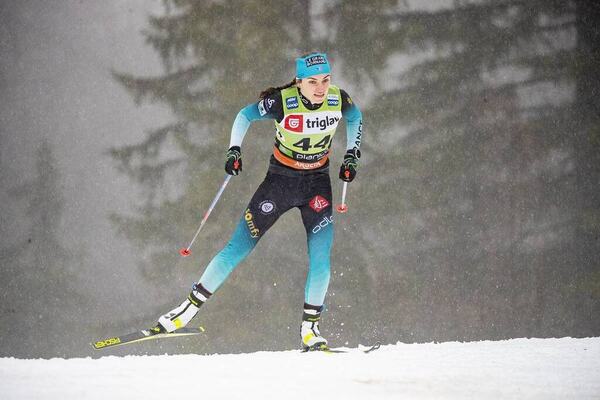 NordicFocus