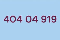 Ring 404 04 919 ved mistanke om koronavirus Ring 404 04 919 ved mistanke om koronavirus
