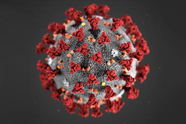 corona virus