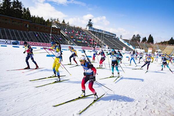 NordicFocus